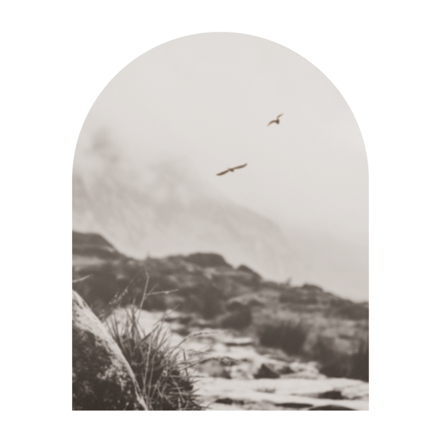 Cherith® | Modern Christian Stationery