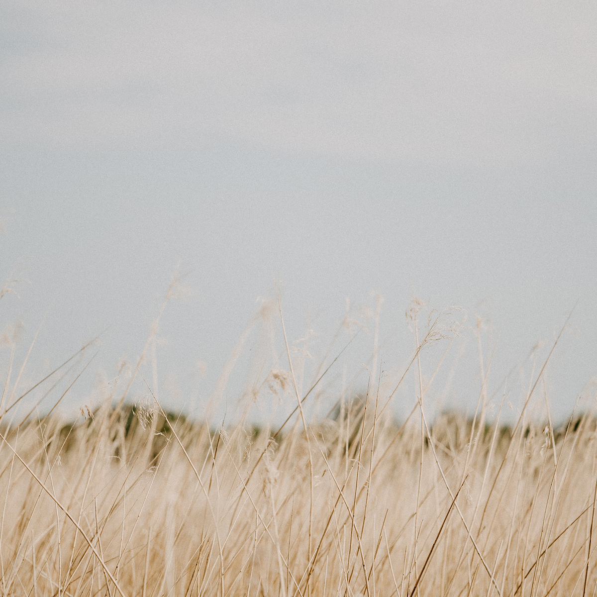 Cherith® | Modern Christian Stationery
