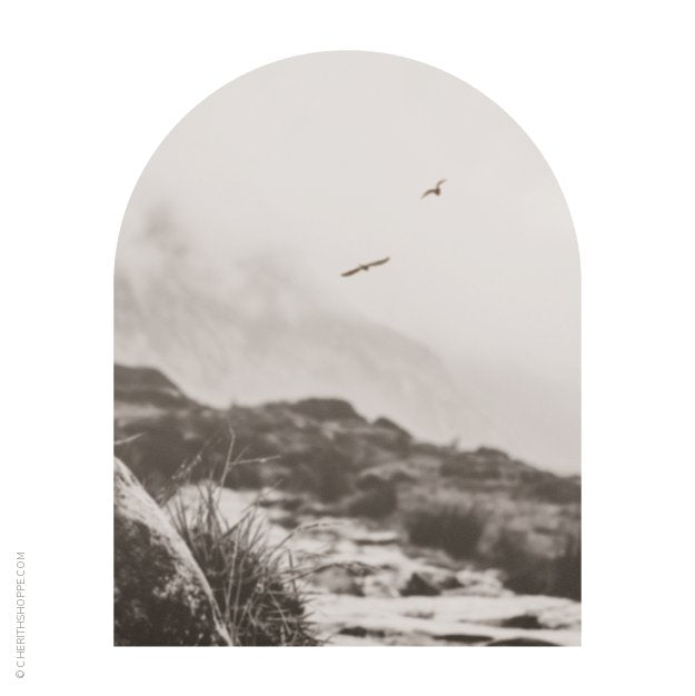 Two ravens flying over the Brook Cherith in a soft sepia arch-shaped photo
