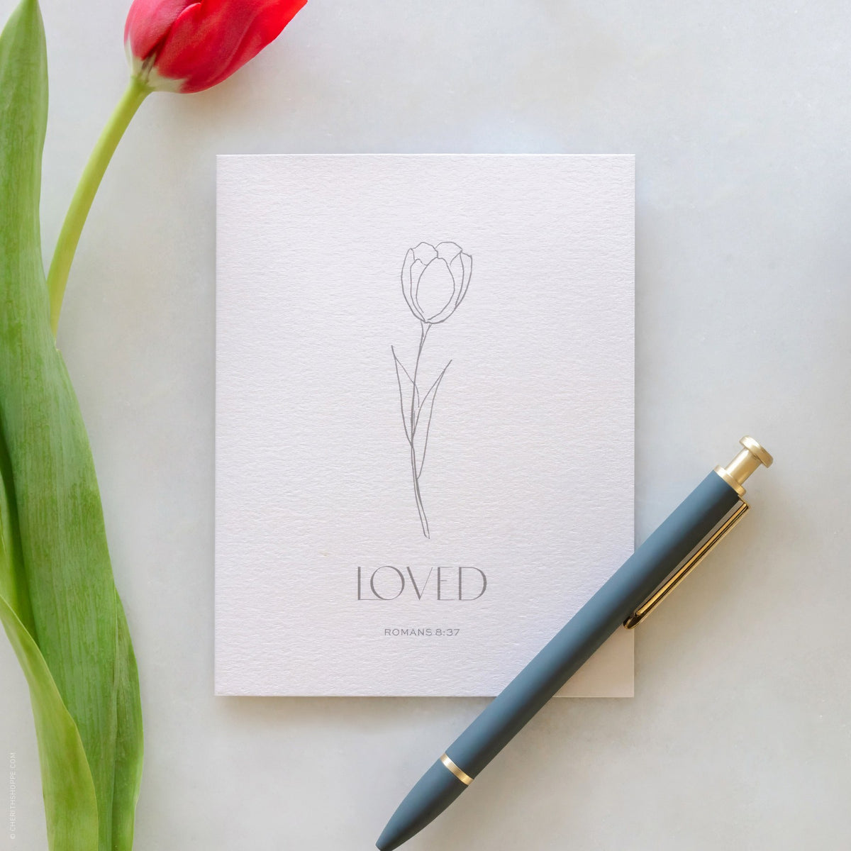Loved Romans 8:37 hand-drawn tulip card and pen beside a red tulip, by Cherith.