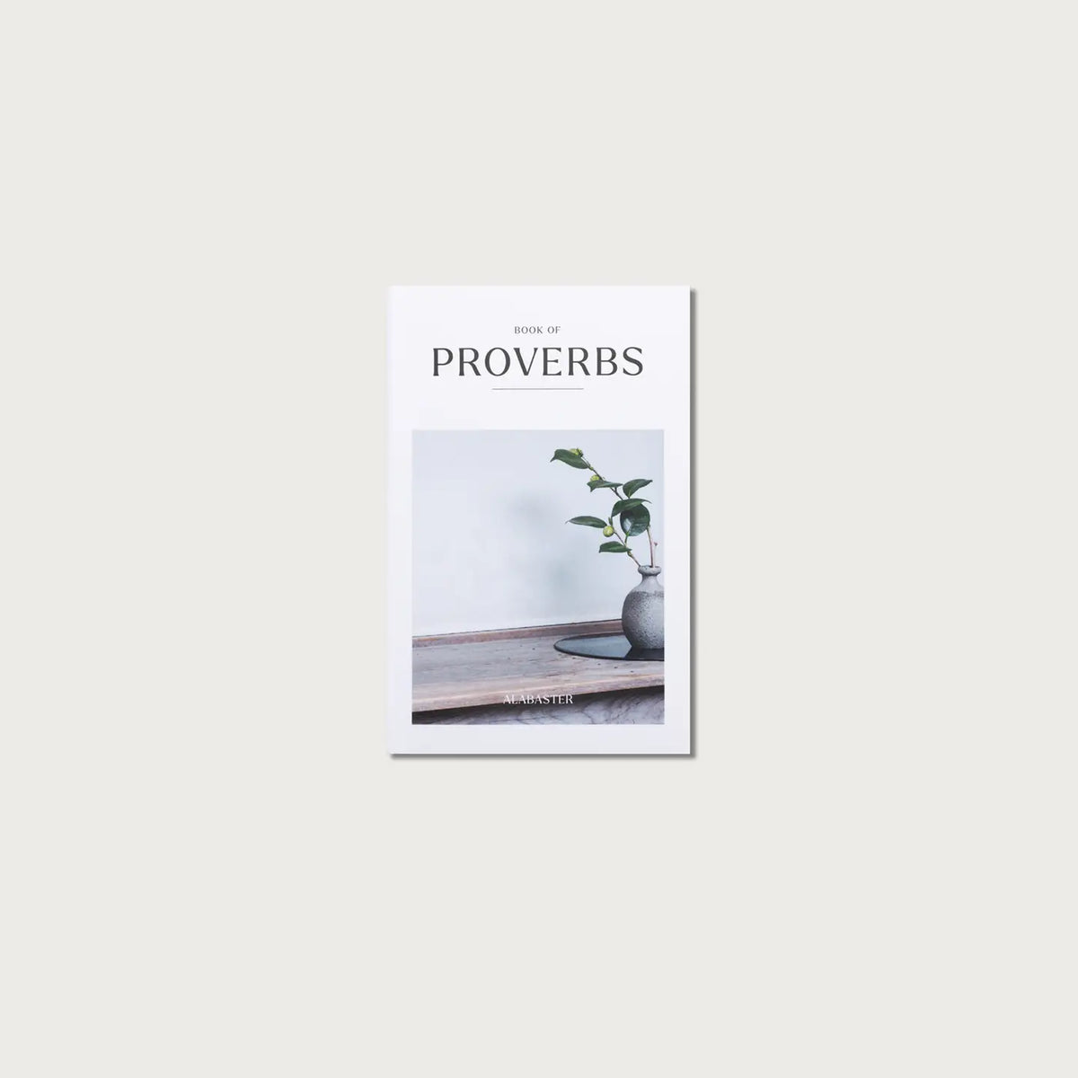 Mini Proverbs Keychain